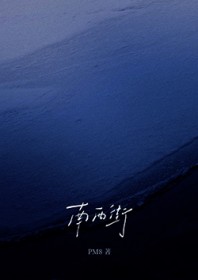 南西街