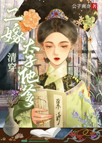 二嫁太子他爹（清穿）